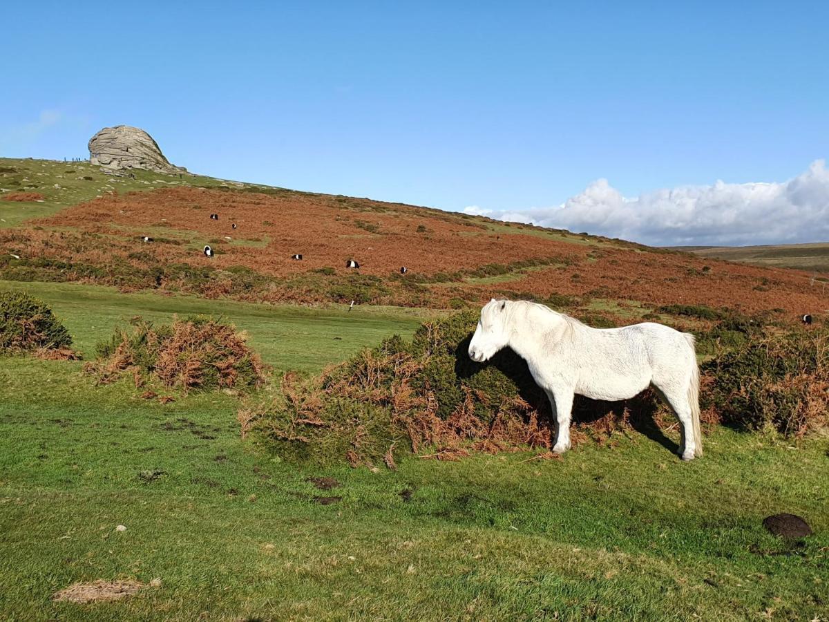The Stable - The Cottages At Blackadon Farm Ivybridge Dış mekan fotoğraf